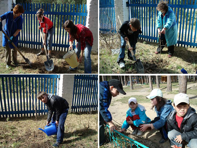 В рамках акции «Весенняя посадка – 2009» воспитанниками шумерлинского детдома «Ёлочка» посажено 15 деревьев и кустарников